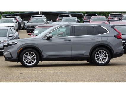 2025 Honda CR-V Tupelo MS