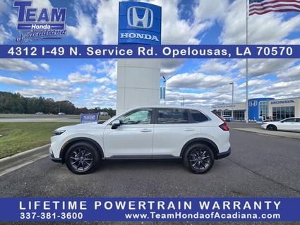 2026 Honda CR-V Opelousas LA
