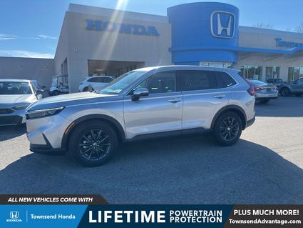 2026 Honda CR-V Tuscaloosa AL