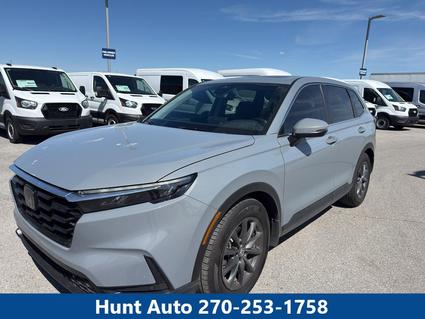 2026 Honda CR-V Franklin KY