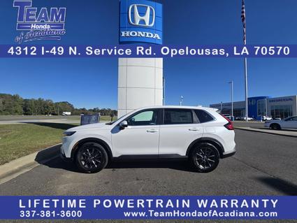 2026 Honda CR-V Opelousas LA
