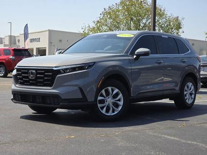 2024 Honda CR-V Hopkinsville KY