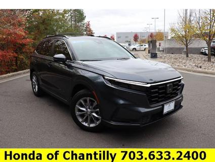 2023 Honda CR-V Chantilly VA
