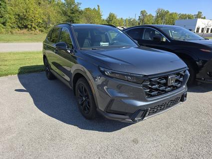 2024 Honda CR-V Hybrid Hopkinsville KY