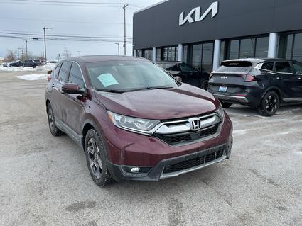 2019 Honda CR-V Nicholasville KY