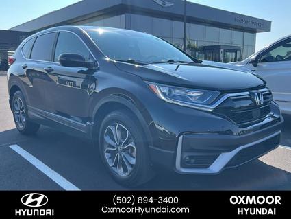 2022 Honda CR-V Louisville KY