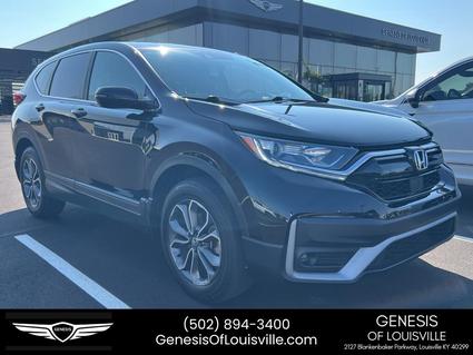 2022 Honda CR-V Louisville KY