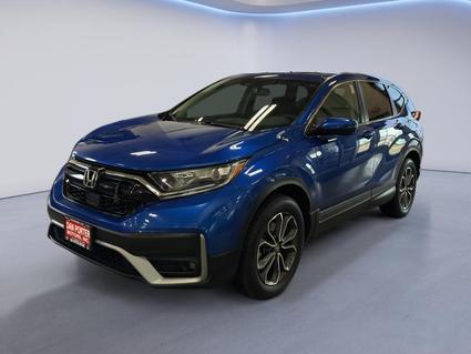 2020 Honda CR-V Dickinson ND