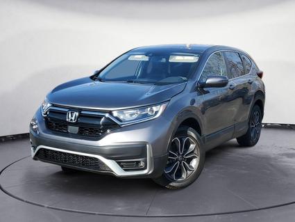 2022 Honda CR-V Ypsilanti MI