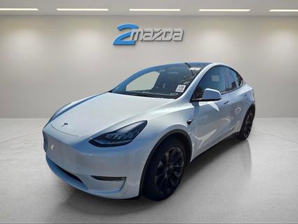 2023 Tesla Model Y Loveland CO