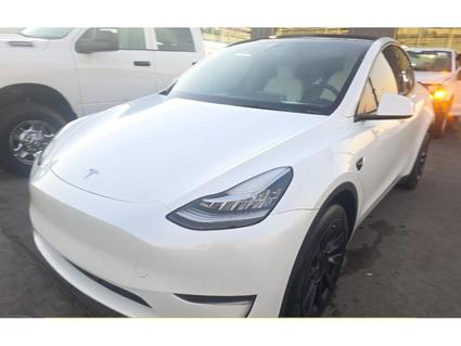 2023 Tesla Model Y Richmond VA