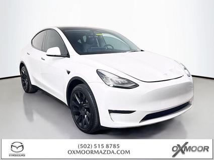 2023 Tesla Model Y Louisville KY