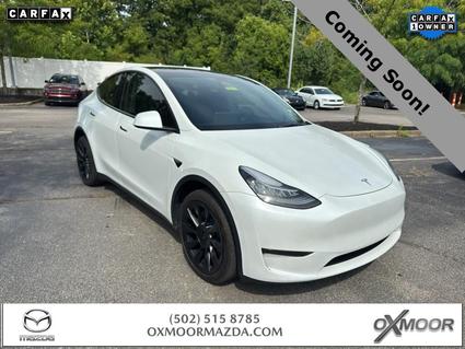 2023 Tesla Model Y Louisville KY