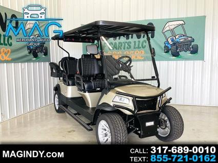 2024 HONOR LITHIUM LSV Cicero IN