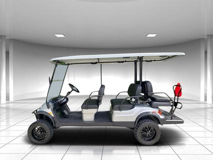 2023 ASPT GOLF CART Boca Raton FL