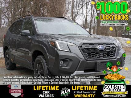 2025 Subaru Forester Albany NY