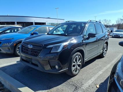 2024 Subaru Forester Saint Louis MO
