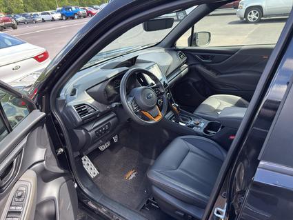 2023 Subaru Forester Lexington KY