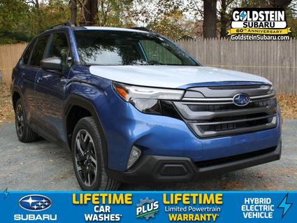 2025 Subaru Forester Albany NY