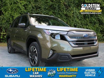 2025 Subaru Forester Albany NY