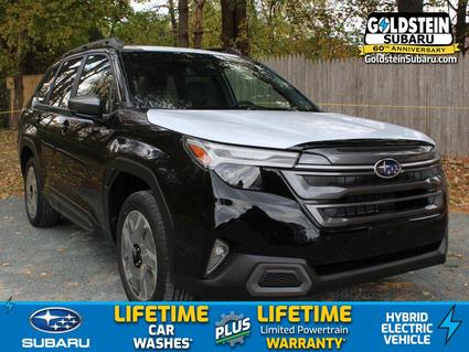 2025 Subaru Forester Albany NY