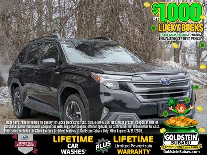 2025 Subaru Forester Hybrid Albany NY
