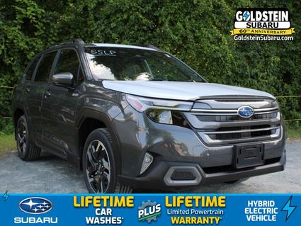 2025 Subaru Forester Albany NY