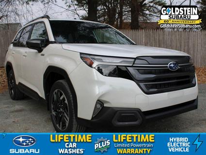 2025 Subaru Forester Albany NY