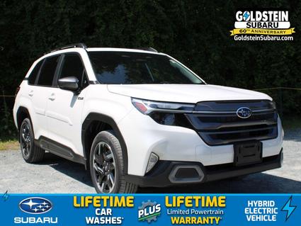 2025 Subaru Forester Albany NY
