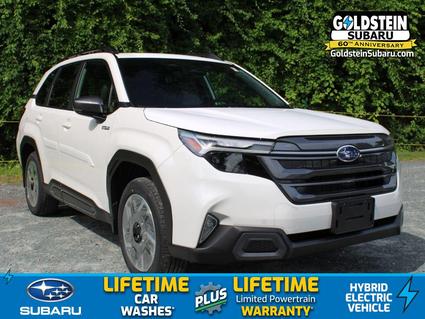 2025 Subaru Forester Albany NY