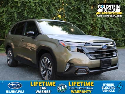 2025 Subaru Forester Albany NY