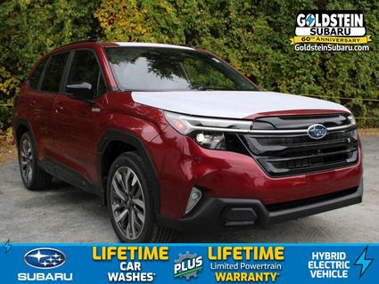 2025 Subaru Forester Albany NY