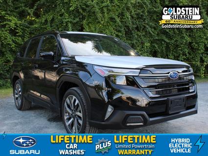 2025 Subaru Forester Albany NY