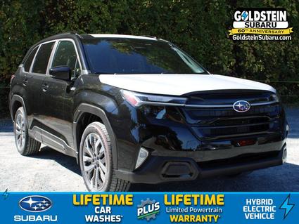 2025 Subaru Forester Albany NY