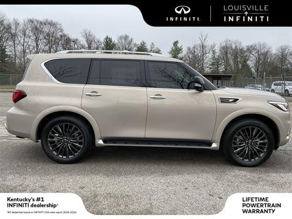 2023 INFINITI QX80 Louisville KY