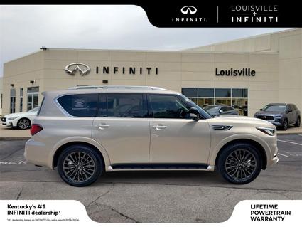 2023 INFINITI QX80 Louisville KY