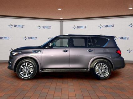 2024 INFINITI QX80 Cortez CO