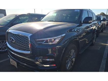 2024 INFINITI QX80 Grapevine TX
