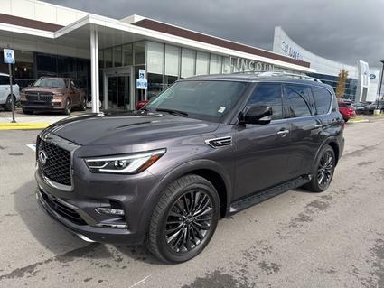 2024 Infiniti QX80 Knoxville TN
