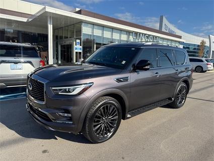 2024 Infiniti QX80 Knoxville TN