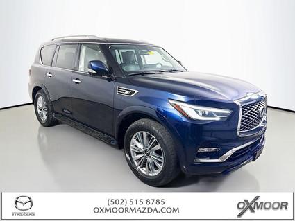 2024 INFINITI QX80 Louisville KY