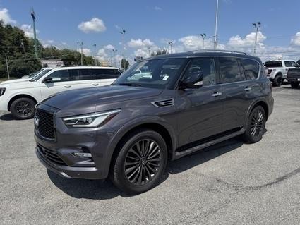 2024 Infiniti QX80 Knoxville TN