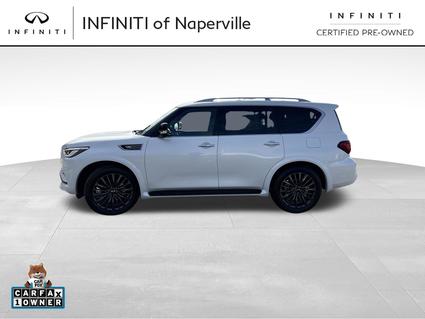 2024 Infiniti QX80 Naperville IL