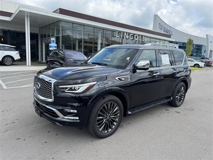 2024 Infiniti QX80 Knoxville TN