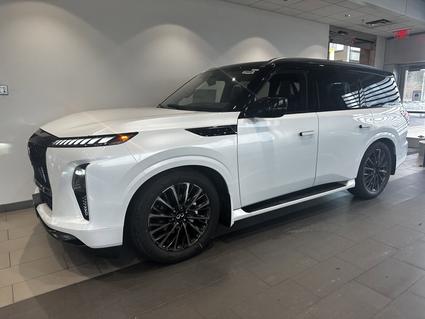 2026 Infiniti QX80 Minneapolis MN