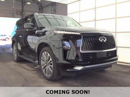 2025 INFINITI QX80 Troy AL