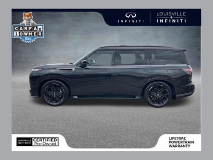 2026 INFINITI QX80 Louisville KY