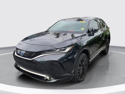 2023 Toyota Venza Jacksonville FL