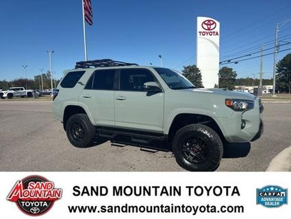 2023 Toyota 4Runner Albertville AL