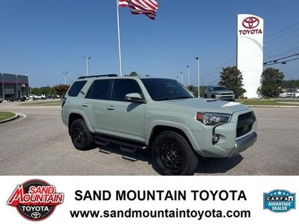 2023 Toyota 4Runner Albertville AL
